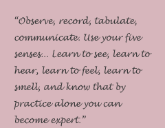 panel quote